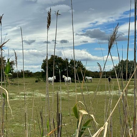 Le Mazet Sooksabai, Confort, Charme Et Decouverte En Petite Camargue Saint-Laurent-dʼAigouze Εξωτερικό φωτογραφία