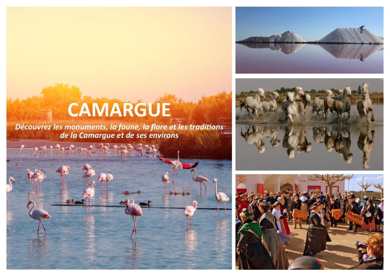 Le Mazet Sooksabai, Confort, Charme Et Decouverte En Petite Camargue Saint-Laurent-dʼAigouze Εξωτερικό φωτογραφία