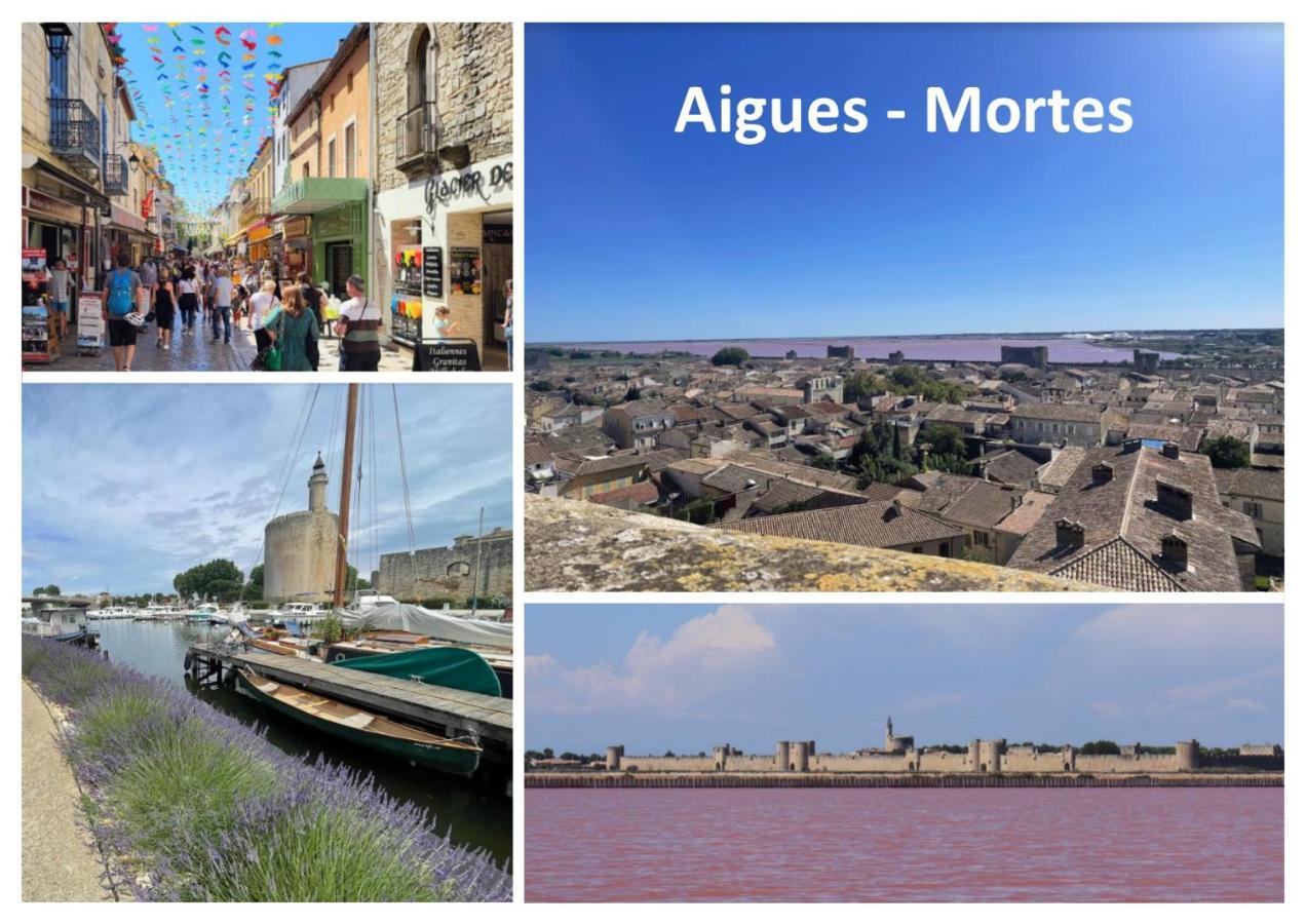 Le Mazet Sooksabai, Confort, Charme Et Decouverte En Petite Camargue Saint-Laurent-dʼAigouze Εξωτερικό φωτογραφία